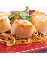 A pile of jumbo sea scallops, fresh and ready to be cooked.